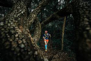 BIB: 
                            <button type="button" onclick="openModal(25702665)" class="btn btn-primary btn-sm float-right btn-popup" data-toggle="modal" data-target=".modal-high-quality">
                        <i class="fas fa-shopping-cart"></i> Add to Cart
                    </button>
                                            <button type="button" onclick="isThisMe(25702665, true)" class="btn btn-success btn-sm float-right btn-popup btn-isme hidden" data-toggle="tooltip" data-placement="bottom" title="นี่คือรูปของคุณใช่ไหม คลิกที่นี่เพื่อเอาเข้าอัลบั้ม">
                        <i class="fas fa-plus"></i> Add to album
                    </button>
                    <button type="button" onclick="isThisMe(25702665, false)" class="btn btn-warning btn-sm float-right btn-popup btn-isnotme hidden">
                        <i class="fas fa-ban"></i> Remove from album
                    </button>